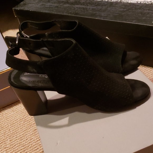 Shoea - Picture 2 of 4